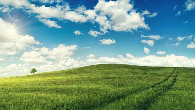 「桃園市立建國國民中學 113 學年度體育班新生入學暨轉學生甄選簡章」