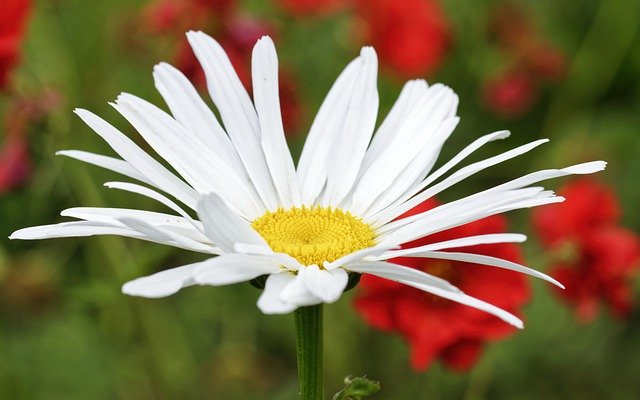 114年全國學生舞蹈比賽「芭蕾說明會」